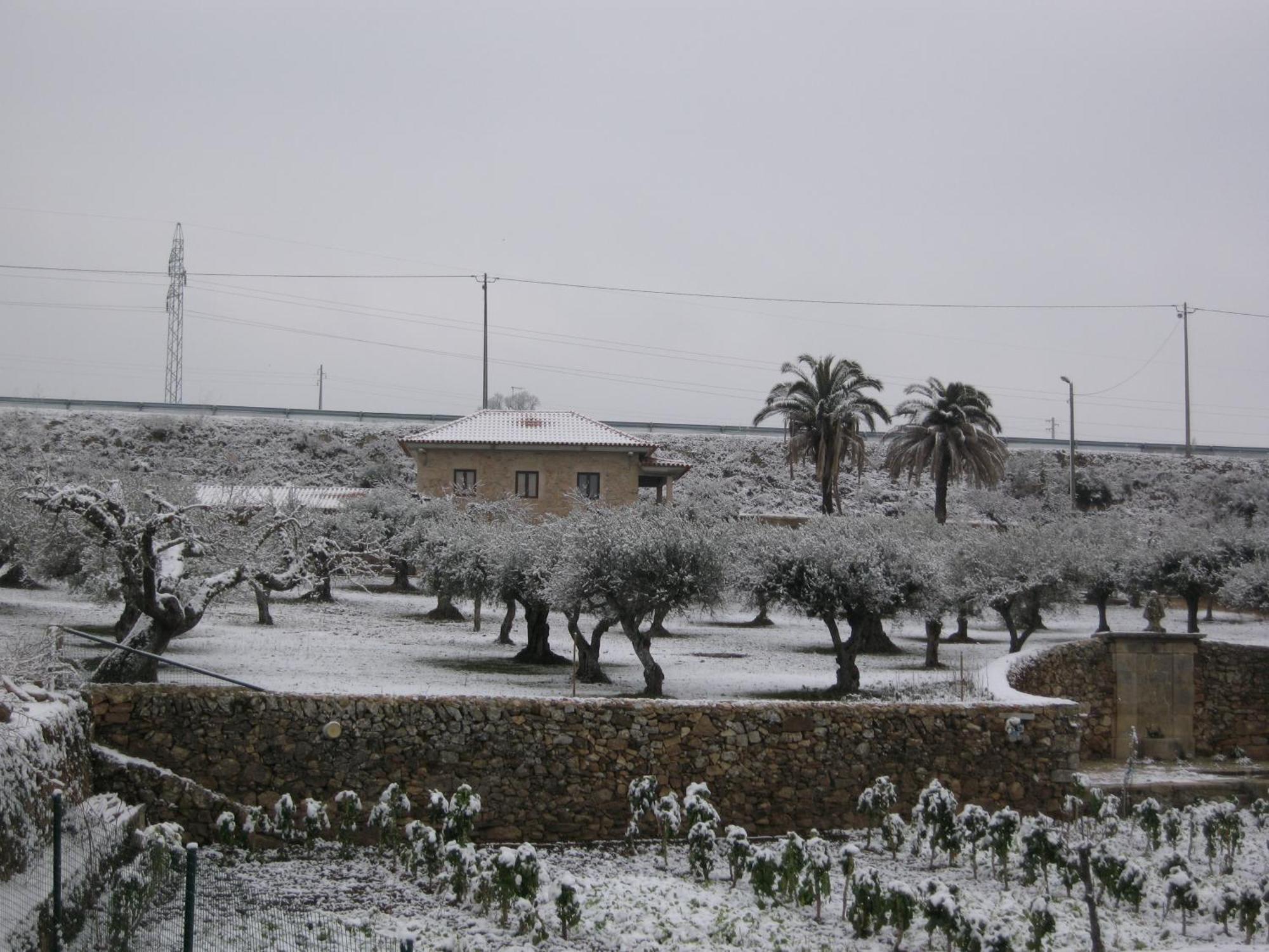 Quinta Das Pias - Holiday Farm Pinhel Esterno foto
